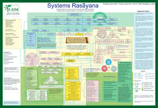 Systems Rasayana